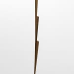 Artur Lescher, Leo # 2 , 2018