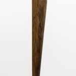 Artur Lescher, Leo # 2 , 2018