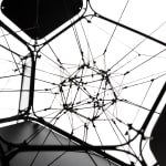 Tomás Saraceno, Solitary solitary semi-social solitary mapping of Xi Pup by a solo Nephila edulis – two weeks, a triplet...
