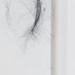 Tomás Saraceno, Solitary solitary semi-social solitary mapping of Xi Pup by a solo Nephila edulis – two weeks, a triplet...