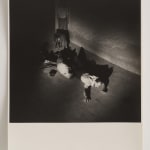 Thomaz Farkas, “Thomaz Farkas I”, c. 1948/2024