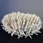 Leandro Erlich, 'Coral City', 2025