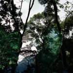 Caio Reisewitz, Boracéia, 2012