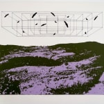 Regina Silveira, Middle class & Co , 1972