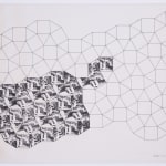 Regina Silveira, Middle class & Co , 1972