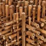 Campana, “Estante Faquir”, 2024