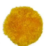 Campana, “Banco Peludinho”, 2024