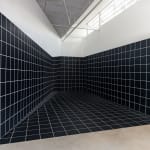 Regina Silveira, “GRAPH”, 2025