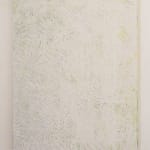 Tiago Tebet, Fêmea, 2009