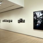 Caio Reisewitz, Boracéia, 2012