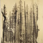Matthew Brandt, Eagles 72B, 2017-2019