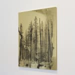 Matthew Brandt, Eagles 72B, 2017-2019