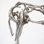 Deborah Butterfield, Sancai, 2022-24