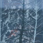 Rona MacLean, Tree Stories, Larch, 2008