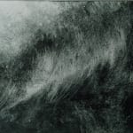 Denise Zygadlo, Leaning by the sea