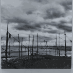 Denise Zygadlo, Leaning by the sea