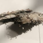 Iona Brown, Untitled (Bird Nest)