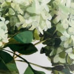 Maria Fletcher, Mug of Snowdrops