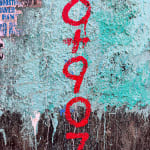 Onyis MARTIN, Walls VI, 2024