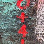 Onyis MARTIN, Walls VI, 2024