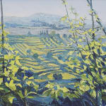 Alan Cotton, Vineyards in San Gimignano, Tuscany