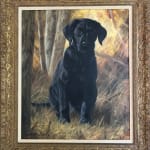 John Trickett, John Trickett, Black Labrador Puppy, Autumnal Light