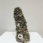Gine Baum, Strata Lichen, 2025