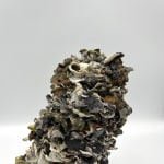 Gina Baum, Scorched, 2021