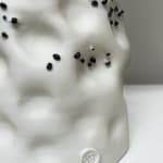 Gina Baum, Scorched, 2021