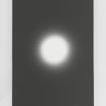 Jochen Lempert, Visible Light II (vitrine), 2021