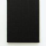 Peter Lynch, Temporarily darkening the sky, 2024