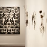 Lydia Halcrow, Deluge III