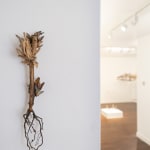 Lydia Halcrow, Deluge III