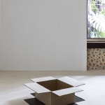Felipe Cohen, Relevo #8, from the Pálpebras series, 2024