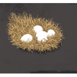 ‘Eggs on a bed of straw’