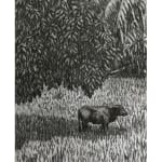 ‘Miharaka’ (buffalo in a rice field), 2022