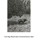 ‘Miharaka’ (buffalo in a rice field), 2022