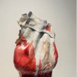 Daria Coleridge, White/Red Akimbo