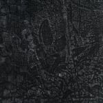 Julian Charrière, To Observe Is To Influence , 2018