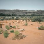 Anja Niemi, The Graveyard , 2018