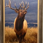 Sally Vannoy, Bighorn Ram