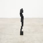 Antony Gormley, Drift VI, 2010