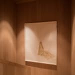 Ulrike Lienbacher, Untitled, 2012