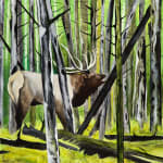 Matthew Dennison, Willamette National Forest (with Elk)
