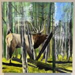 Matthew Dennison, Willamette National Forest (with Elk)