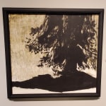 Mark Clarke (1935-2016), Young Man