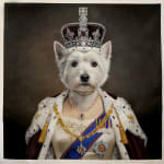 Anonymous, The Wise Silver Long Ears Owl - England, 1991