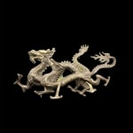 Anonymous, DRAGON dragon