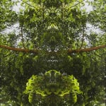 Januario Jano, Prayer, 2019