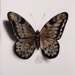 Alessandra Maria, Butterfly no. 92, 2022